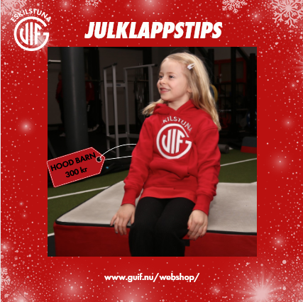 Julklappstips 1