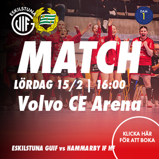 20250215 Guif (D) vs Hammarby IF HF