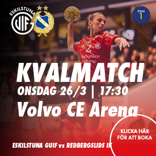 20250326 Guif D vs Redbergslids IK 2av3