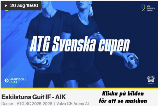 Dam vs Aik ATG SVC Solid