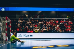 Guif-Helsingborg-221219-169-2265