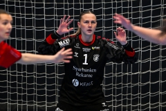 2025-02-01_dam_Guif-Huddinge-001