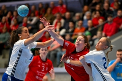 2025-02-01_dam_Guif-Huddinge-022