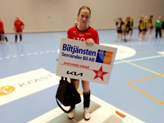 Guif-Hammarby5
