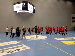 Guif-Hammarby9
