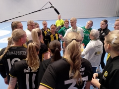 Guif-Hammarby12
