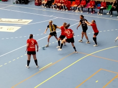 Guif-Hammarby15