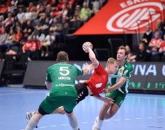 66 kasper 66 kasper