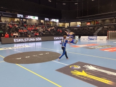 Guif-Hallby31 - stor Guif-Hallby31 - stor