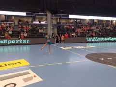 Guif-Hallby48 - stor Guif-Hallby48 - stor
