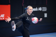 1 - Ebba boll